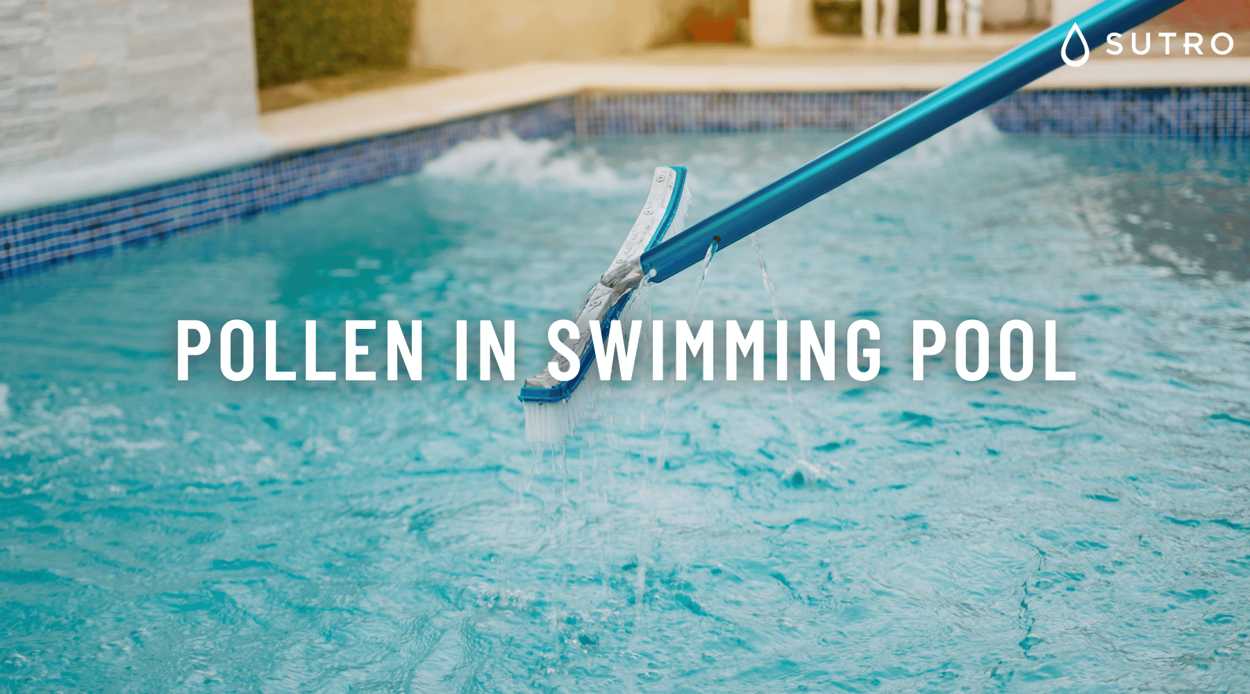 Pollen in Swimming pool / Why should you remove them and why – Sutro, Inc