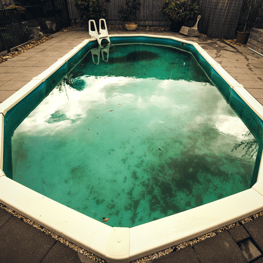 How to get rid of algae in your pool – Every tip you should know - Sutro, Inc