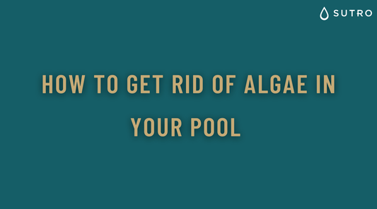Essential Tips - How to Get Rid of Pool Algae - Sutro, Inc