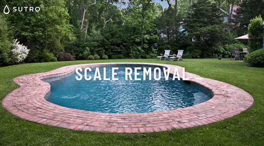 Scale Removal - Sutro, Inc