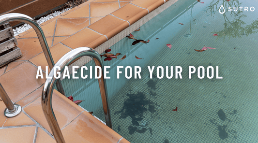 Algaecide for your Pool: How much do you need to add, How to use it and How does it work?