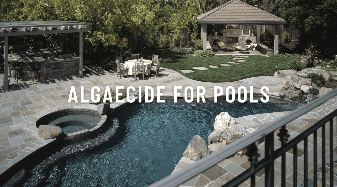 Algaecide for Pools