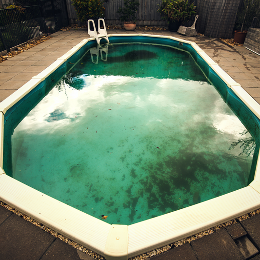 How to get rid of algae in your pool – Every tip you should know