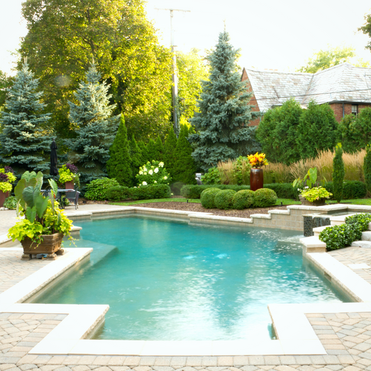 DIY Pool Pro Tip: How to Startup a New Plaster Pool