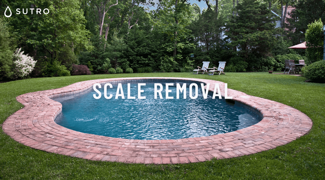 Scale Removal