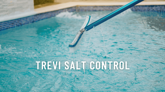 Trevi Salt Control