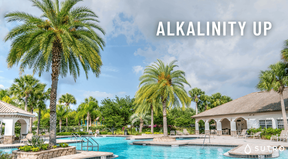 Alkalinity Up | Pool Chemicals | Sutro, Inc - Sutro, Inc