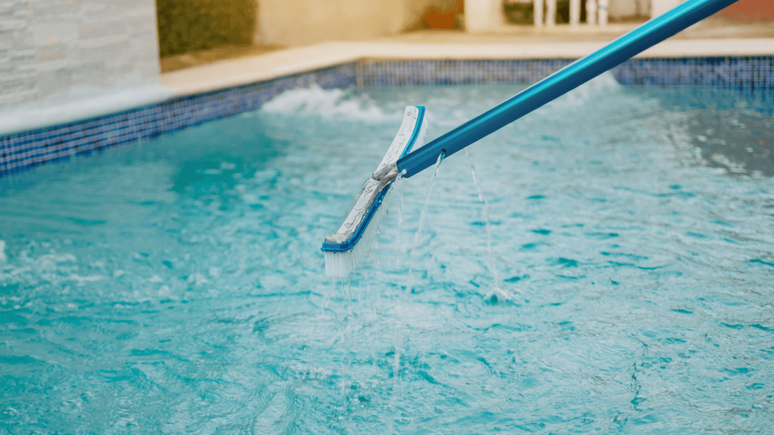 Can Pool Algae Grow in Cold Weather? Prevention Tips & Solutions - Sutro, Inc