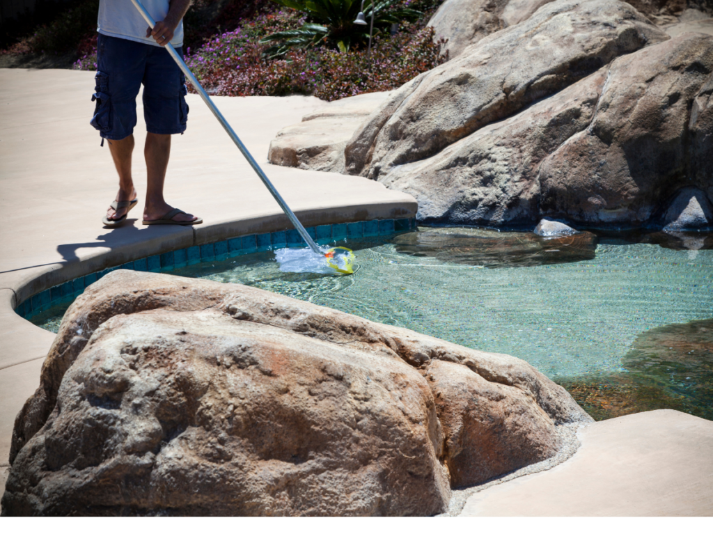 How to get rid of water bugs in your pool