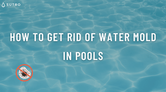 How to Get Rid of Water Mold in Pools | Plus Prevention Tips - Sutro, Inc