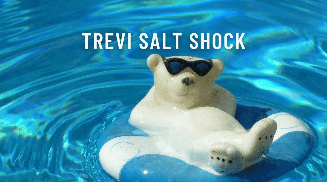 Trevi Salt Shock - Sutro, Inc