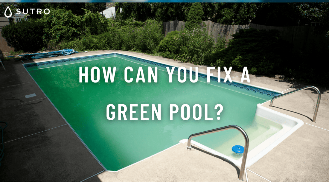 Why is my pool green? - Sutro, Inc