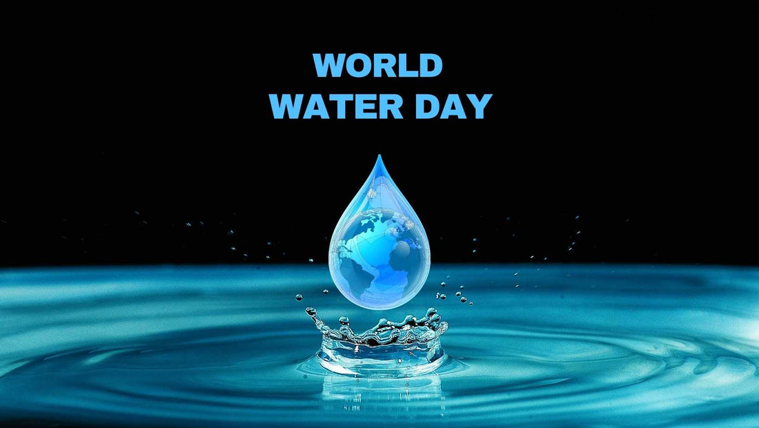 World Water Day - Organizations you can help today